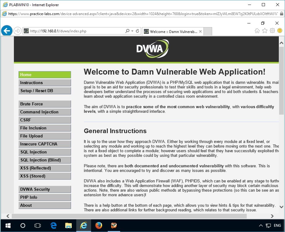 Figure 1.19 Screenshot of Internet Explorer window