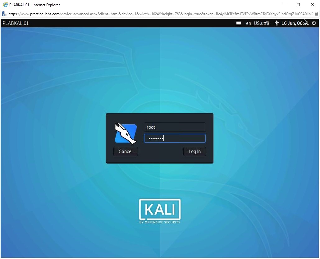 Figure 1.2 Screenshot of PLABKALI01 device