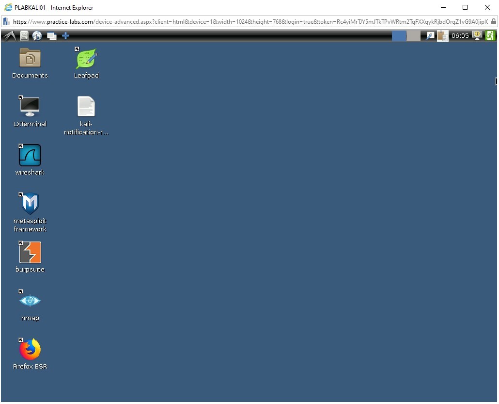 Figure 1.3 Screenshot of PLABKALI01 device