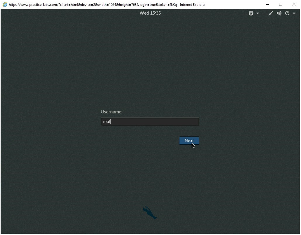 Figure 1.1 Screenshot of PLABKALI01