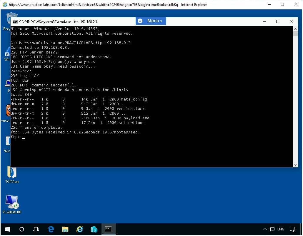 Figure 1.26 Screenshot of PLABWIN10