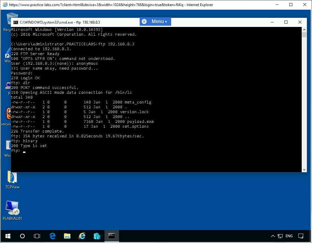 Figure 1.27 Screenshot of PLABWIN10