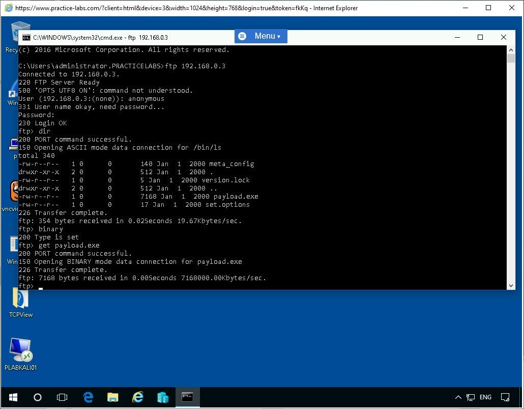 Figure 1.28 Screenshot of PLABWIN10