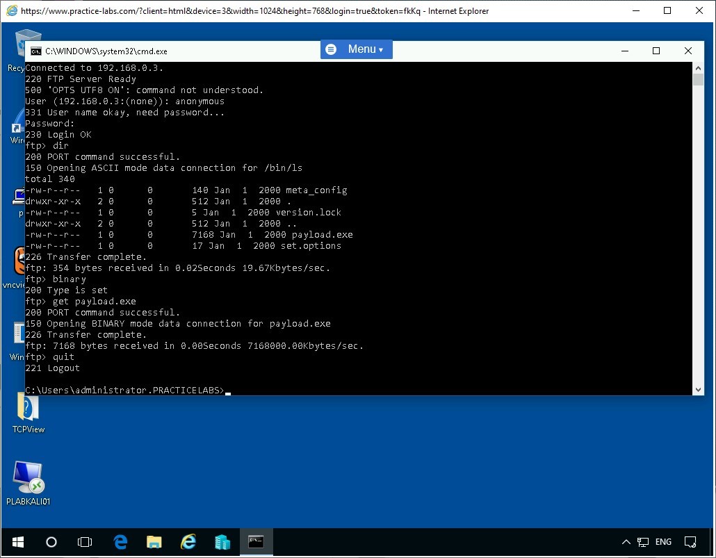 Figure 1.29 Screenshot of PLABWIN10