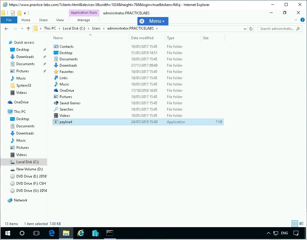 Figure 1.30 Screenshot of PLABWIN10