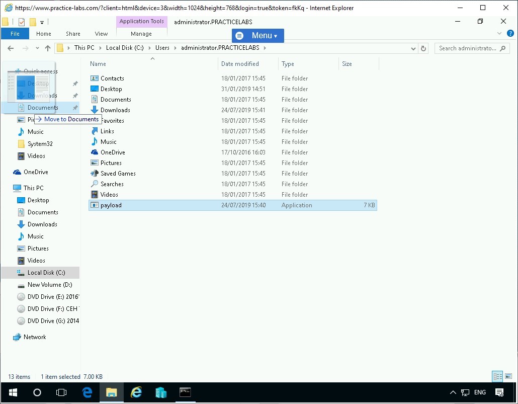 Figure 1.31 Screenshot of PLABWIN10