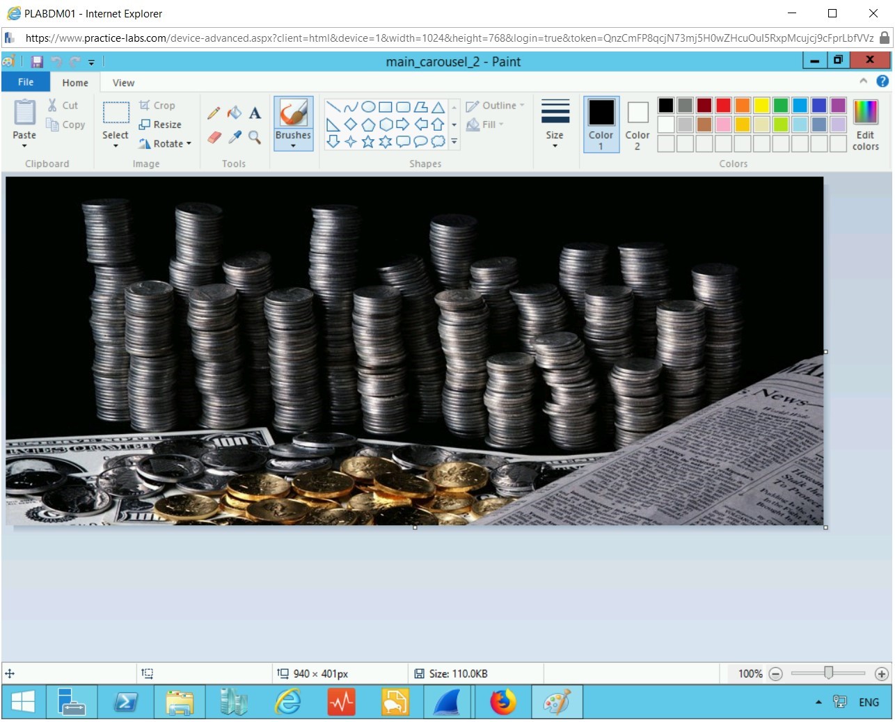 Figure 2.8 Screenshot of PLABWIN10