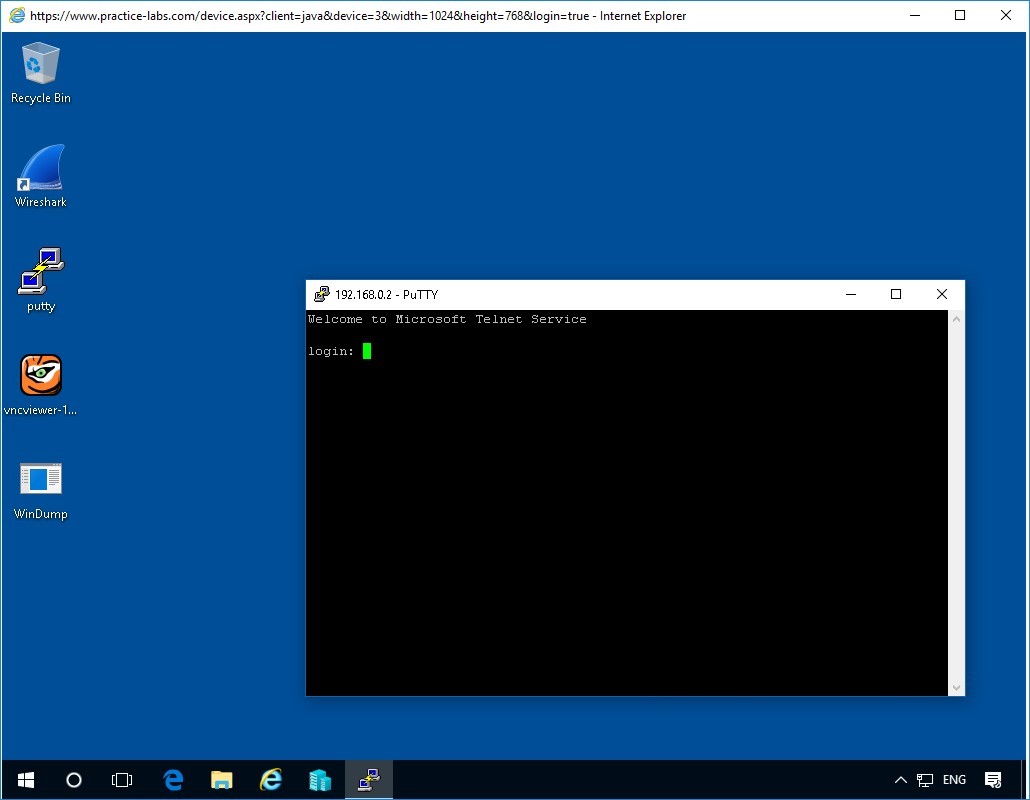 Figure 1.4 Screenshot of PLABWIN10