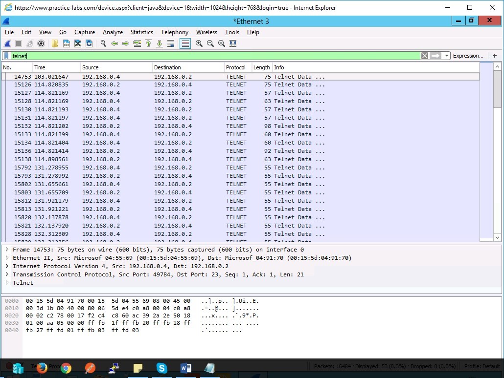 Figure 1.8 Screenshot of PLABWIN10