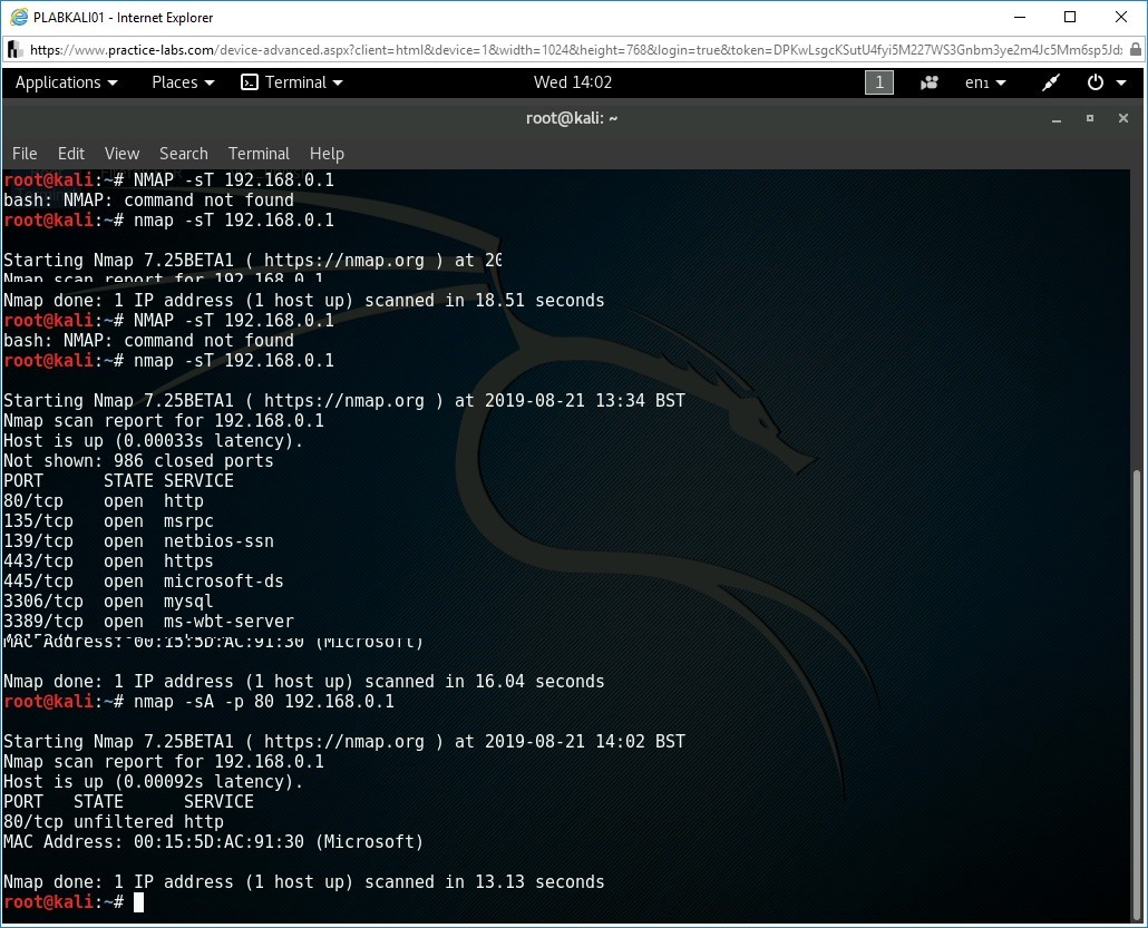 Figure 1.23 Screenshot of root terminal on PLABKALI01 device