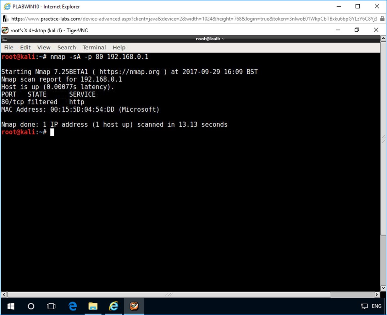 Figure 1.28 Screenshot of root terminal on PLABKALI01 device