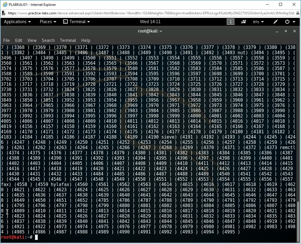 Figure 2.1 Screenshot of root terminal on PLABKALI01 device
