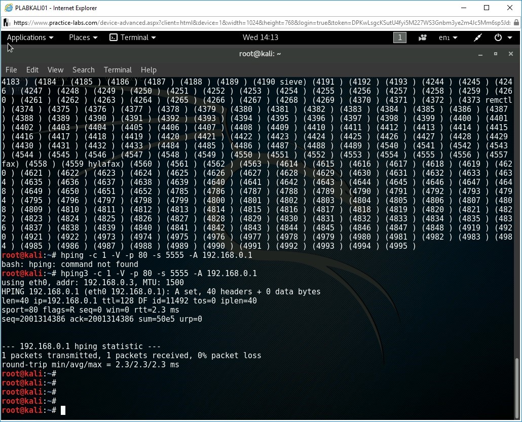 Figure 2.2 Screenshot of root terminal on PLABKALI01 device