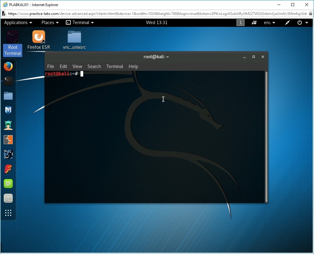 Figure 1.6 Screenshot of device PLABKALI01