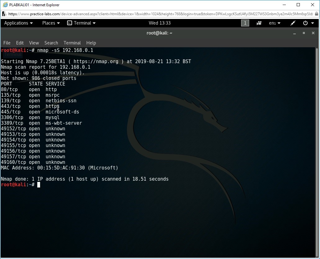 Figure 1.7 Screenshot of root terminal on PLABKALI01 device