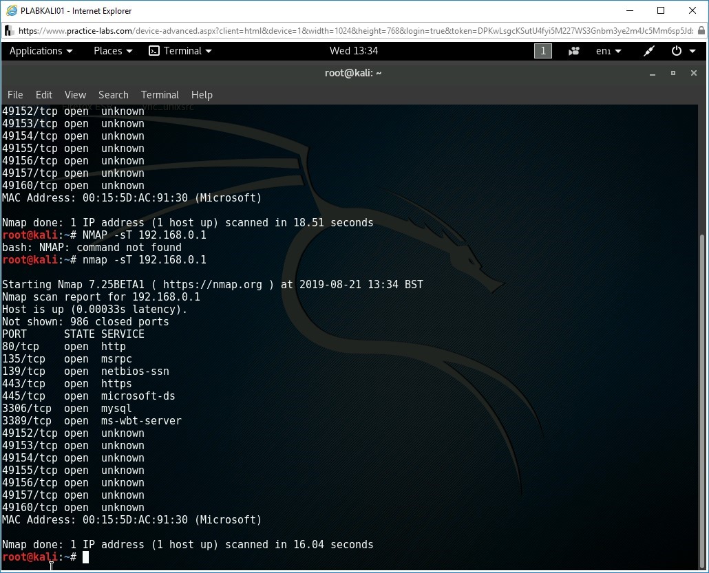 Figure 1.8 Screenshot of root terminal on PLABKALI01 device
