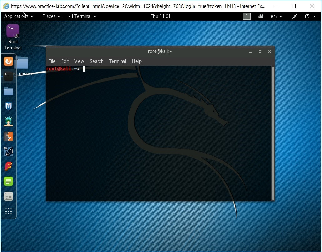 Figure 1.5 Screenshot of PLABKALI01