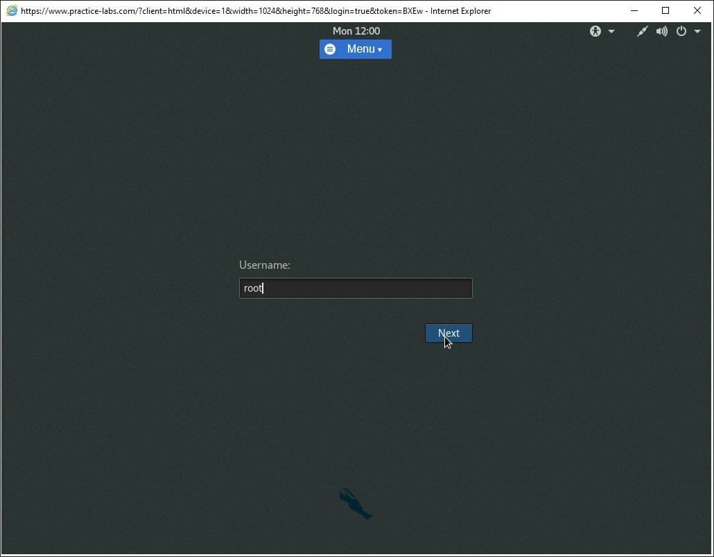Figure 1.3 Screenshot of PLABKALI01