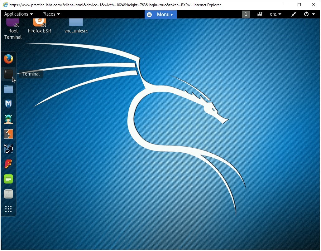 Figure 1.5 Screenshot of PLABKALI01