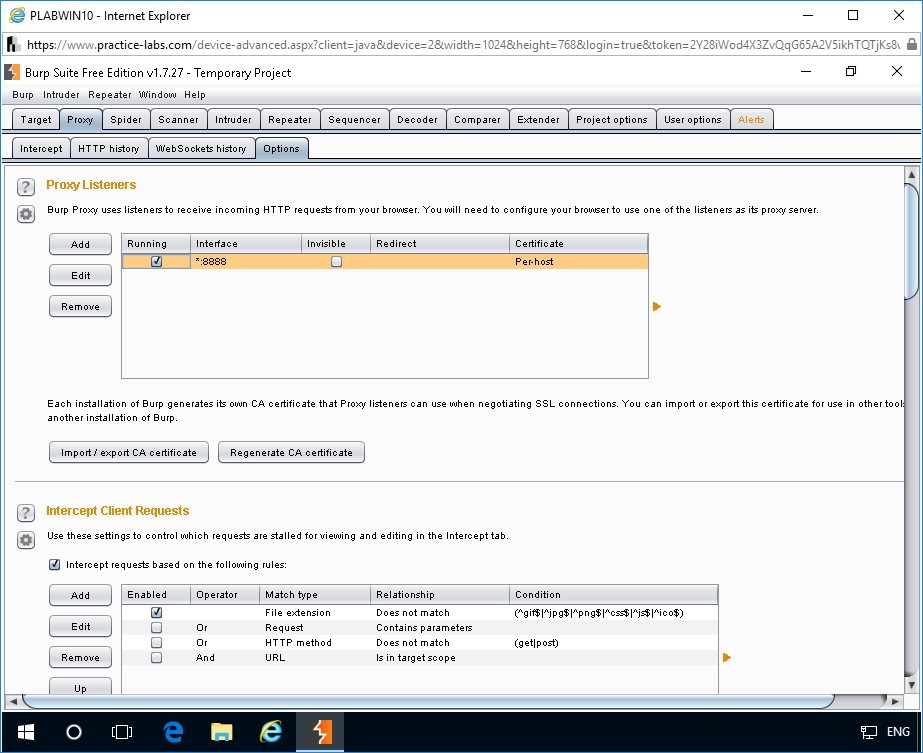 Figure 1.11 Screenshot of Burp Suite Free Edition v1.7.27 -Temporary Project window on PLABWIN10 device