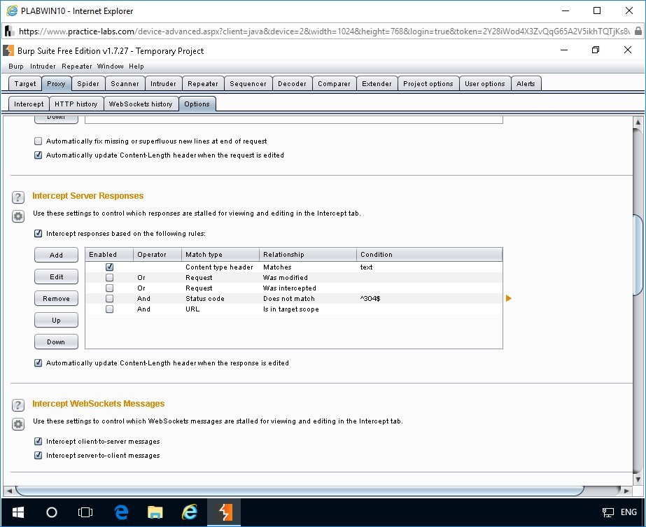 Figure 1.12 Screenshot of Burp Suite Free Edition v1.7.27 - Temporary Project window on PLABWIN10 device