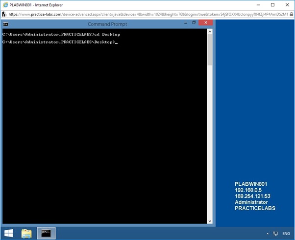 Figure 1.19 Screenshot of the Command Prompt window on PLABWIN801