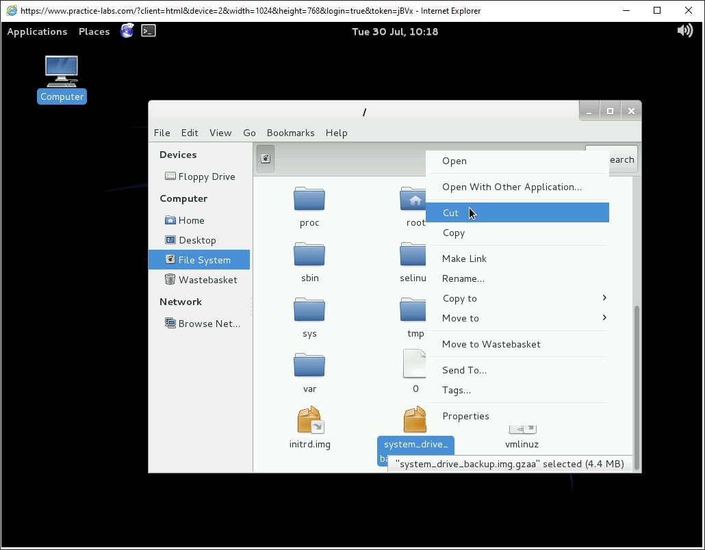 Ảnh chụp màn hình Practice Labs.