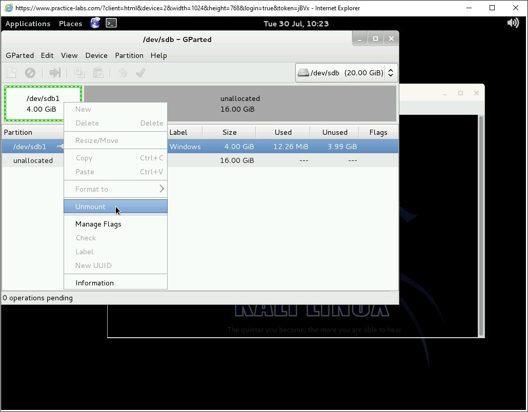 Ảnh chụp màn hình Practice Labs.