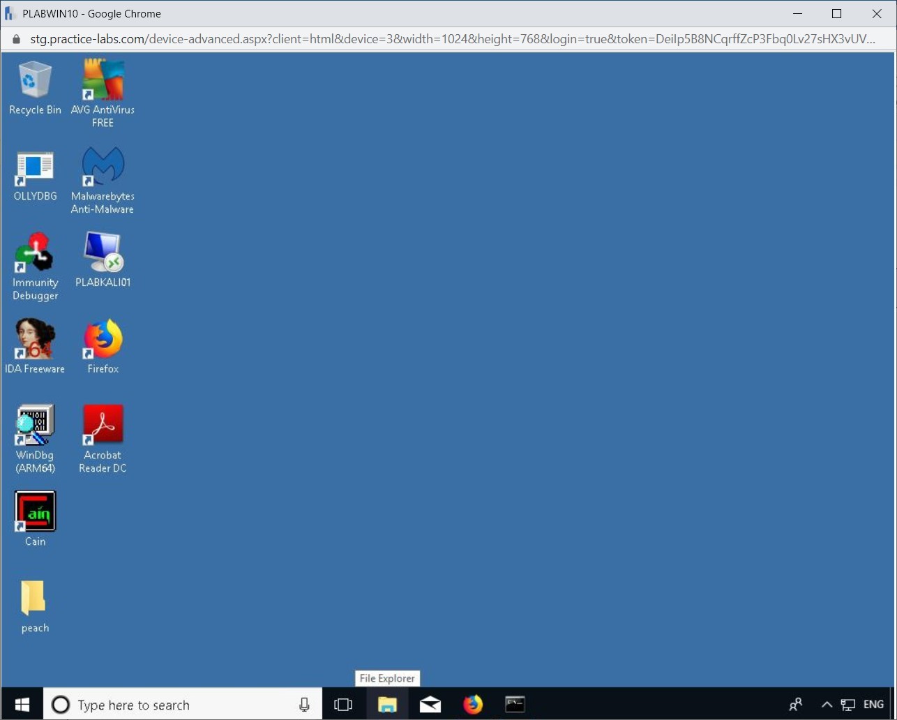 Figure 4.2 Screenshot of PLABWIN10