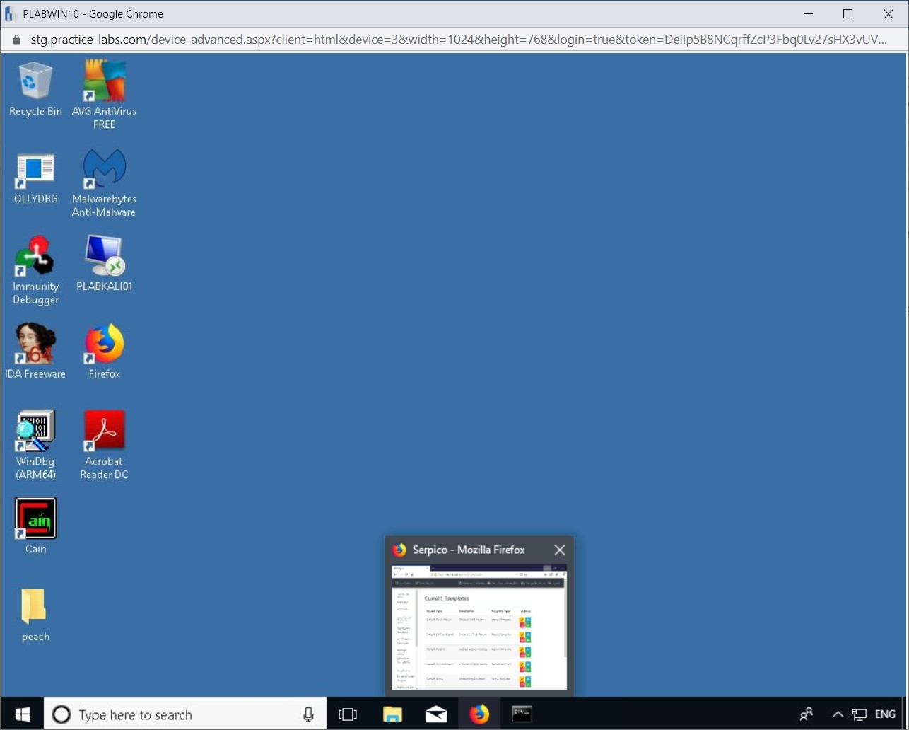 Figure 9.1 Screenshot of PLABWIN10