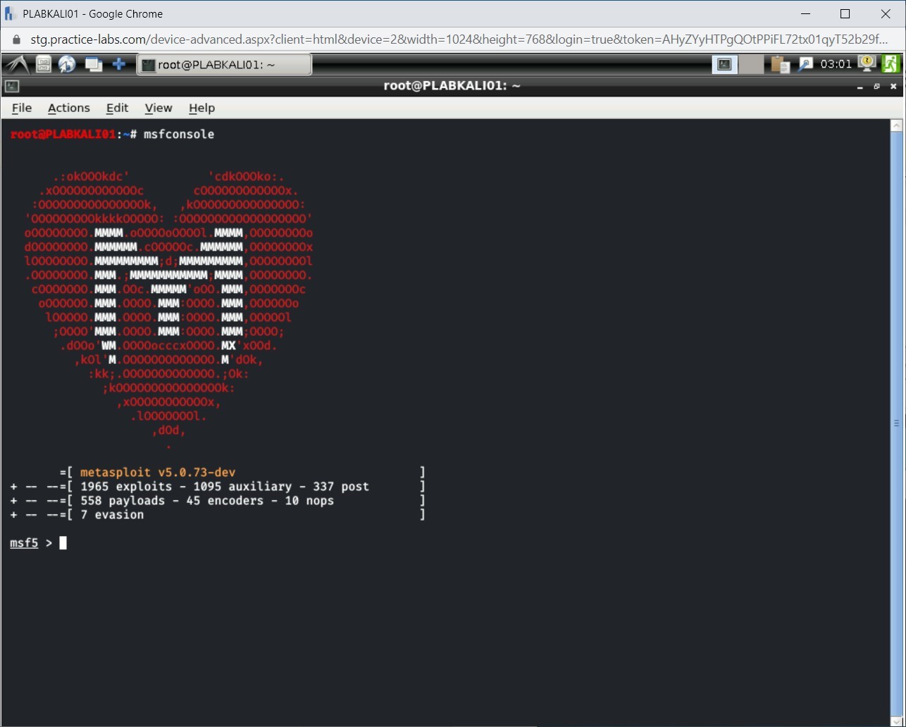 Figure 1.9 Screenshot of PLABKALI01