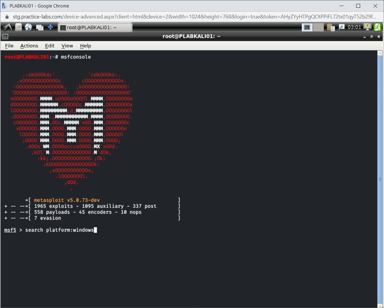 Figure 1.10 Screenshot of PLABKALI01