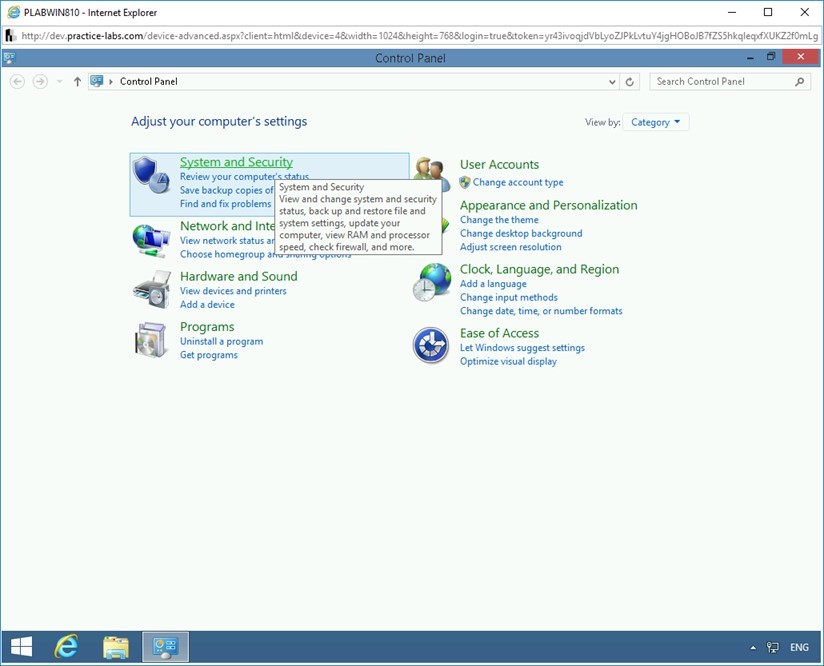 Figure 1.2 Screenshot of PLABWIN810