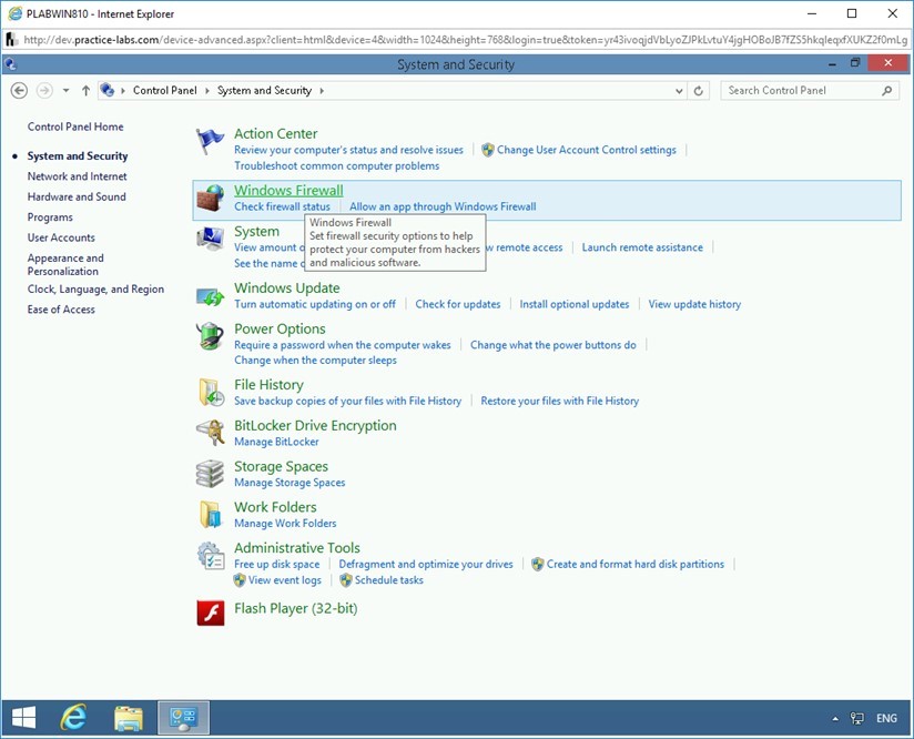 Figure 1.3 Screenshot of PLABWIN810
