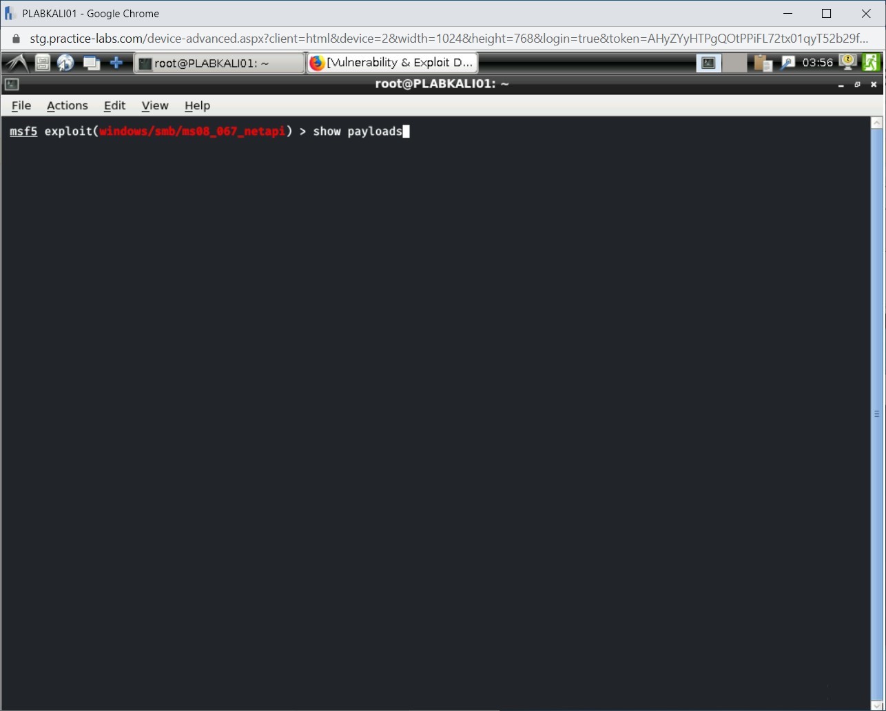 Figure 3.1 Screenshot of PLABKALI01