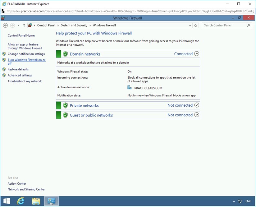 Figure 1.4 Screenshot of PLABWIN810