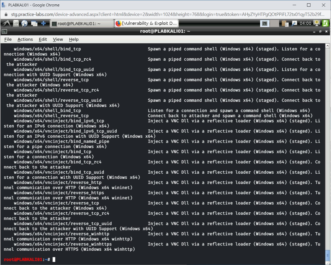Figure 4.3 Screenshot of PLABKALI01