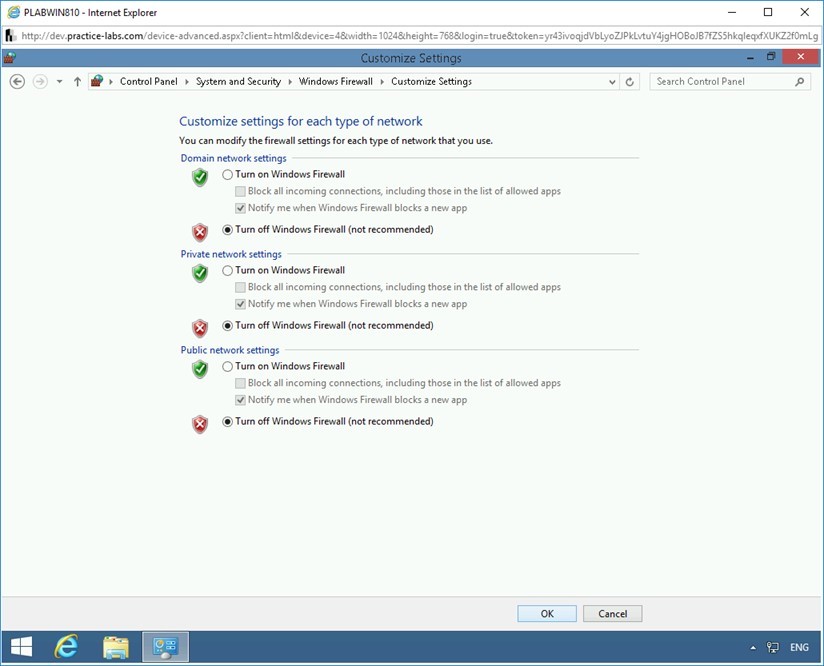 Figure 1.5 Screenshot of PLABWIN810