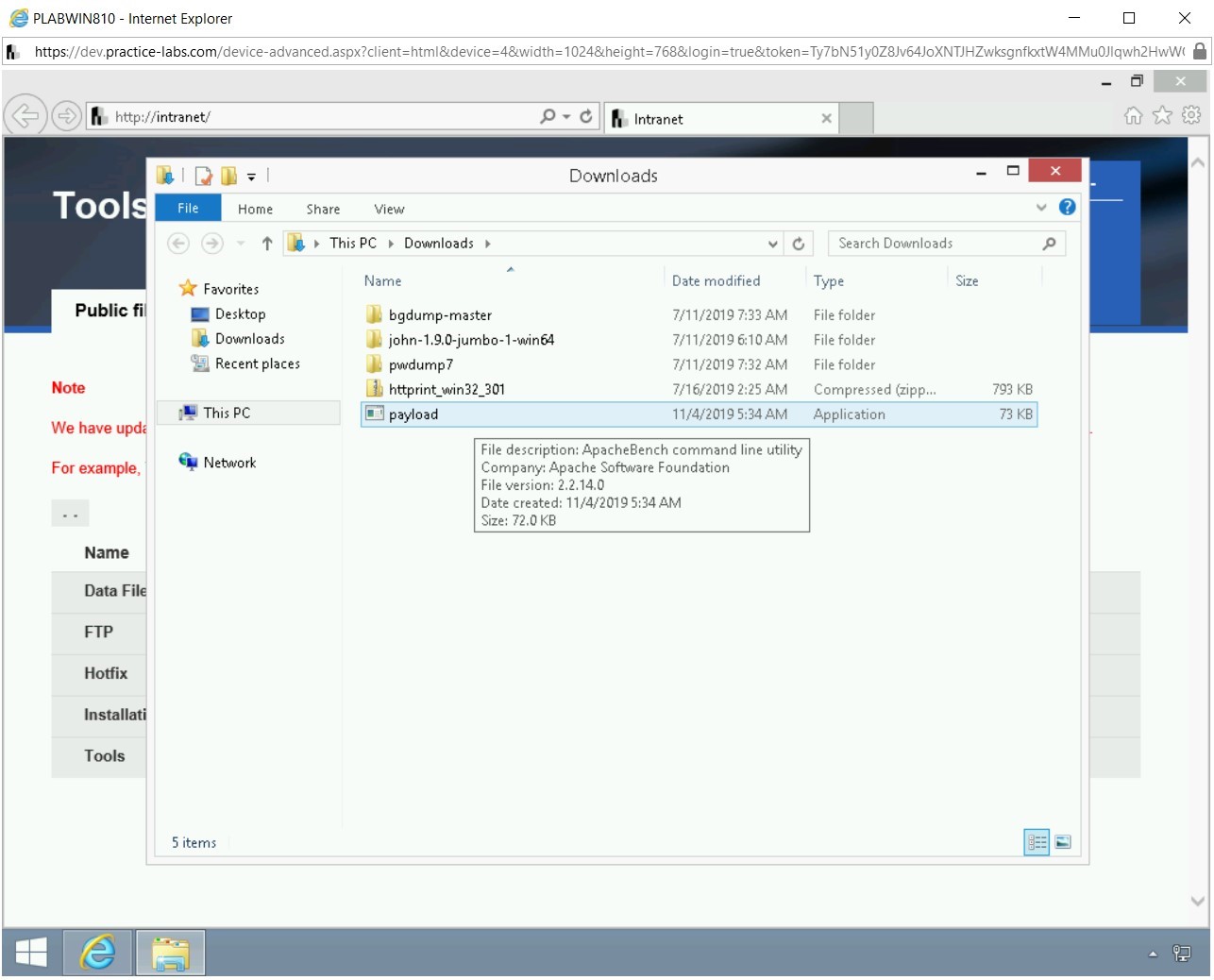 Figure 4.11 Screenshot of PLABWIN810