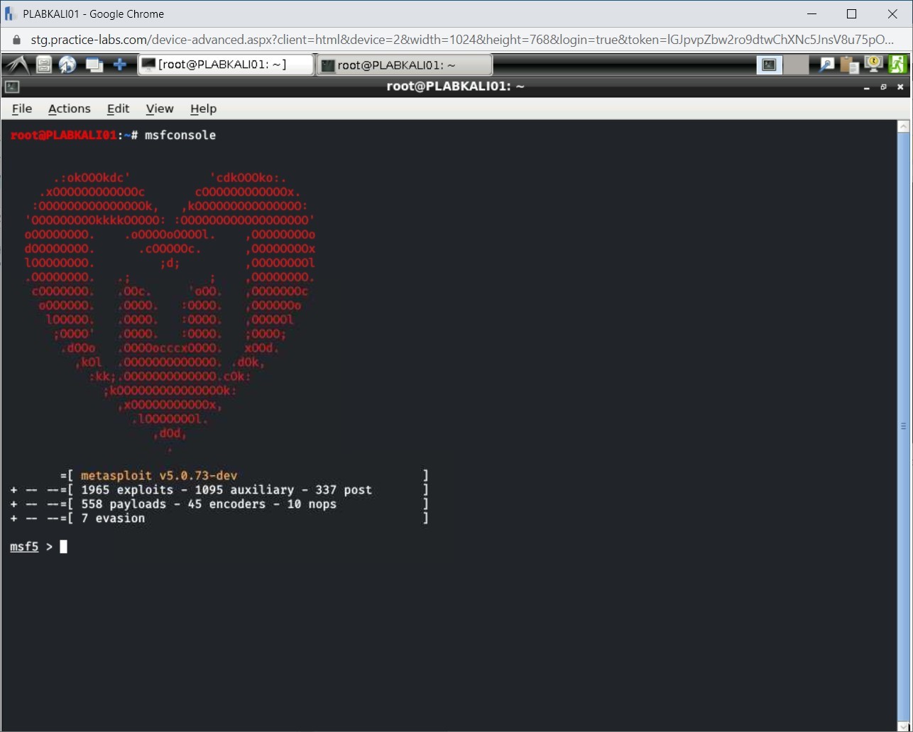 Figure 1.13 Screenshot of PLABKALI01