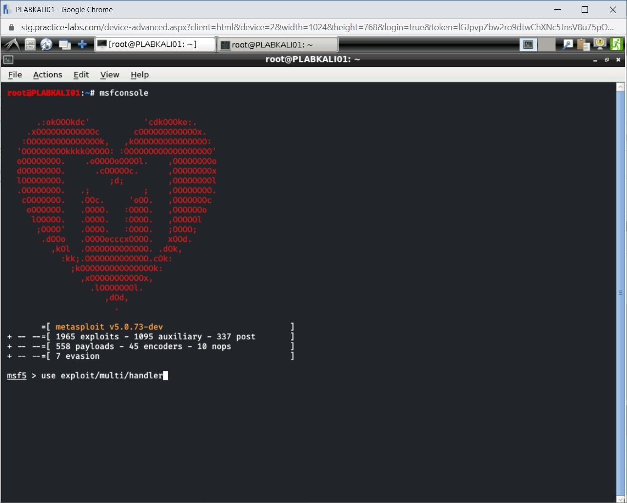 Figure 1.14 Screenshot of PLABKALI01