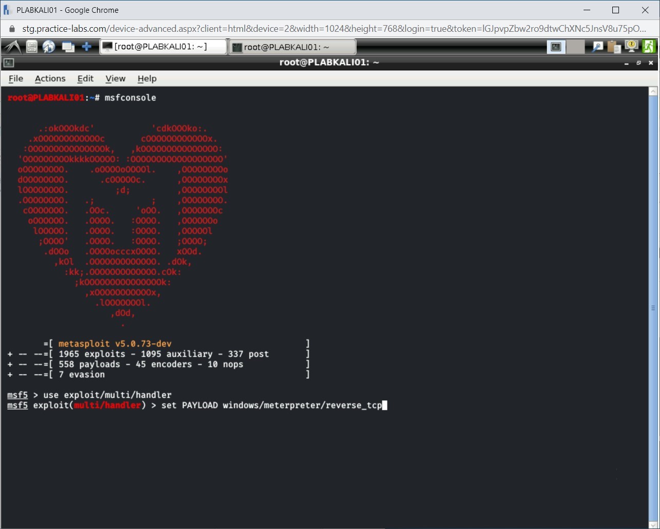 Figure 1.15 Screenshot of PLABKALI01